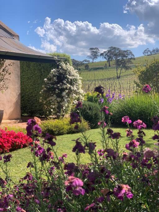 Seppeltsfield Vineyard Cottage Luxury Romantic Getaway Exterior foto