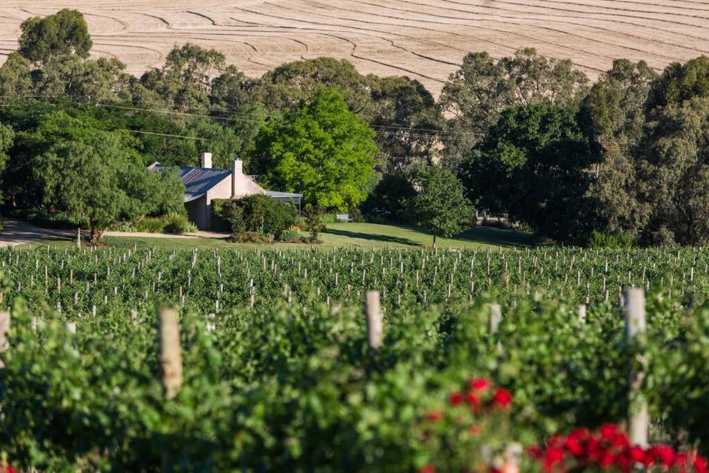 Seppeltsfield Vineyard Cottage Luxury Romantic Getaway Exterior foto