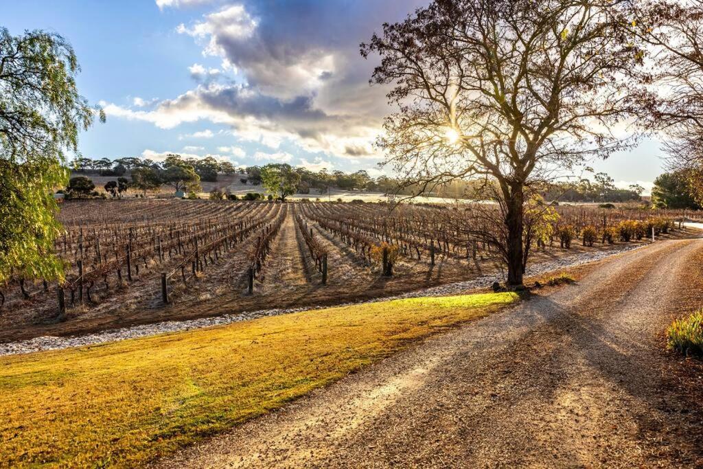 Seppeltsfield Vineyard Cottage Luxury Romantic Getaway Exterior foto