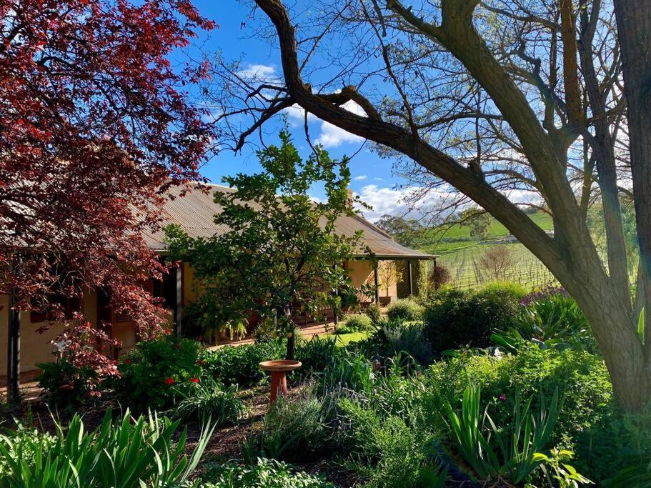 Seppeltsfield Vineyard Cottage Luxury Romantic Getaway Exterior foto