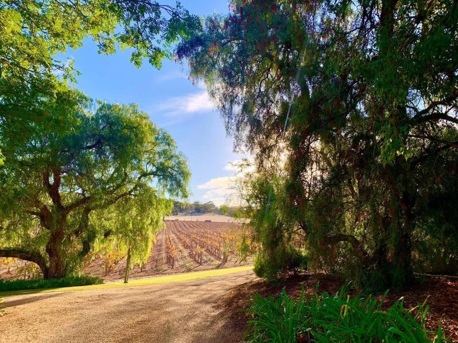 Seppeltsfield Vineyard Cottage Luxury Romantic Getaway Exterior foto