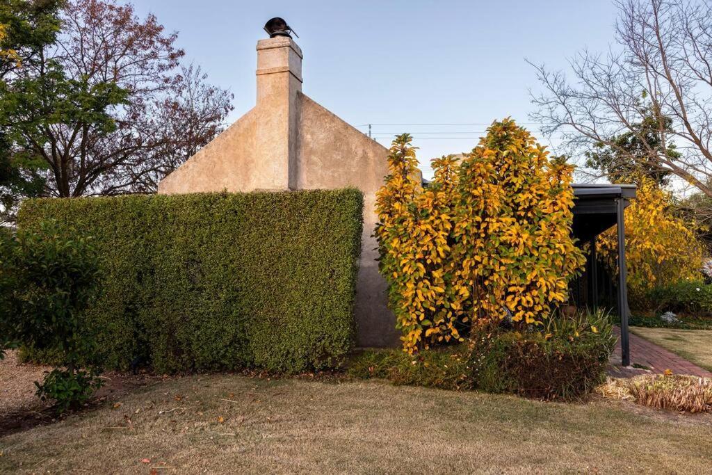 Seppeltsfield Vineyard Cottage Luxury Romantic Getaway Exterior foto