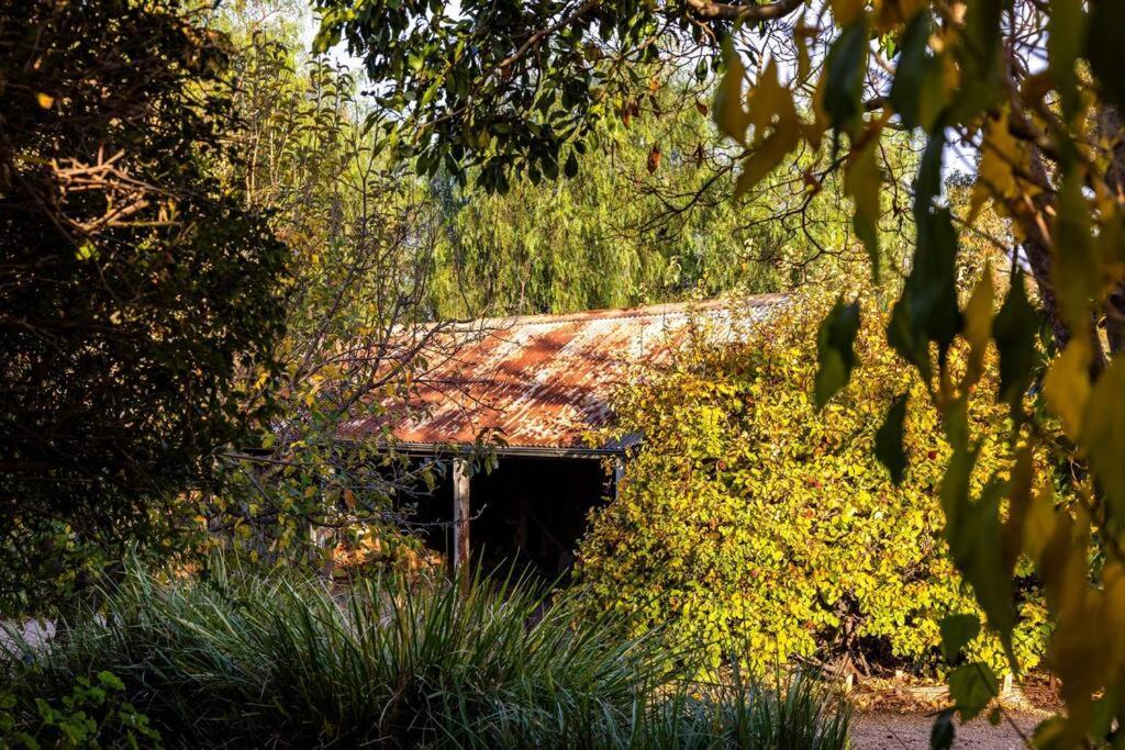 Seppeltsfield Vineyard Cottage Luxury Romantic Getaway Exterior foto